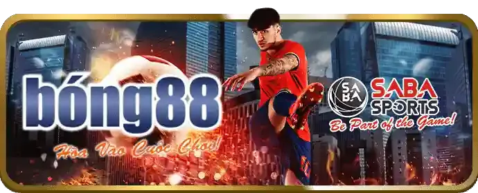 Tổng quan về nền tảng casino trực tuyến C168C